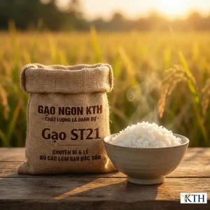 Bao gạo ST21 10kg thương hiệu Gạo Ngon KTH, gạo sạch đặc sản Sóc Trăng, cơm dẻo thơm, giá sỉ và lẻ tại TPHCM.
