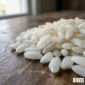 Hình ảnh cận cảnh hạt gạo 504 bạc bụng màu trắng đục đặc trưng dùng để nhận biết gạo thật.