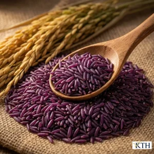 Cận cảnh hạt gạo dinh dưỡng ST Tím trên thìa gỗ, chứa nhiều Omega 3-6-9 và vitamin nhóm B.