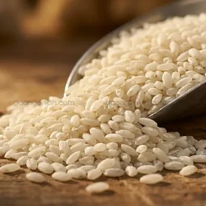 Cận cảnh hạt gạo sống Gạo Nở 404 của Gạo Ngon KTH, hạt ngắn, bầu, màu trắng đục đặc trưng, phù hợp làm cơm chiên hoặc bún phở.