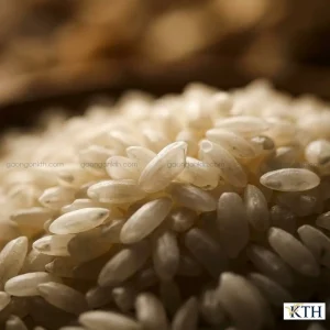 Cận cảnh chi tiết kết cấu hạt gạo tẻ Q5, hạt ngắn, hơi bầu, màu trắng đục, đặc tính nở xốp, khô cơm.