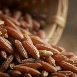 Cấu tạo hạt gạo lứt nâu nguyên cám giữ lại lớp vỏ cám và phôi mầm giàu dinh dưỡng và vitamin nhóm B.