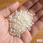 Cận cảnh hạt gạo Tài Nguyên có màu trắng đục (bạc bụng) đặc trưng, dấu hiệu nhận biết gạo xốp nở ngon.