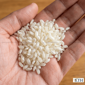 Cận cảnh hạt gạo Tài Nguyên có màu trắng đục (bạc bụng) đặc trưng, dấu hiệu nhận biết gạo xốp nở ngon.