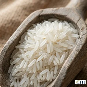 Cận cảnh hạt gạo 2517 hạt dài, trắng trong, không bị bạc bụng so với gạo 504, tiêu chuẩn xuất khẩu.