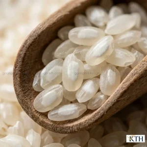 Cách nhận biết gạo 64 thơm dứa qua đặc điểm hạt to bầu và vết bạc bụng tự nhiên.