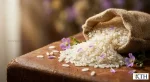 Cận cảnh macro gạo đặc sản trắng ngần bên hoa tím, ánh sáng tự nhiên mềm mại tạo bokeh, phong cách Annie Leibovitz.