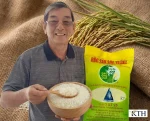 Chuyên gia nông nghiệp nâng niu hạt gạo ST25 Ông Cua chính hãng trên cánh đồng lúa Sóc Trăng vàng óng.