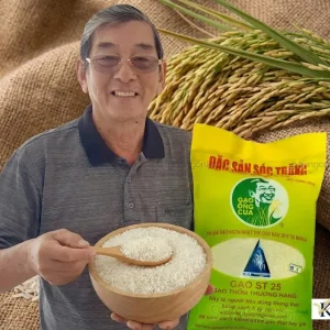 Chuyên gia nông nghiệp nâng niu hạt gạo ST25 Ông Cua chính hãng trên cánh đồng lúa Sóc Trăng vàng óng.