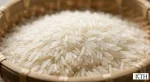 Hạt gạo ST21 thon nhỏ màu trắng trong không bị bạc bụng, đặc điểm nhận dạng gạo Long Lài thật so với gạo giả.