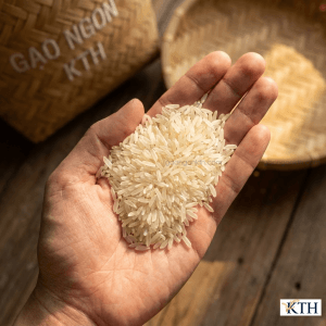 Góc nhìn từ trên cao bàn tay đang kiểm tra chất lượng gạo ST24 Gạo Ngon KTH, hạt gạo đều tăm tắp, màu trắng trong, không pha trộn, chuẩn gạo thơm thượng hạng.