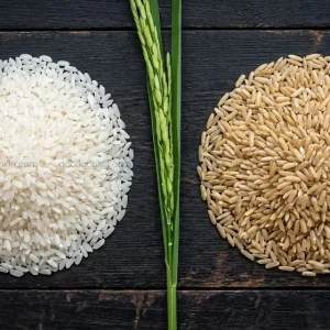 So sánh sự khác biệt màu sắc và kết cấu giữa gạo trắng tinh chế và gạo lứt nâu nguyên cám.