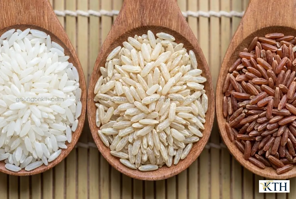 So sánh hình ảnh hạt gạo lứt trắng nguyên cám với gạo trắng và gạo lứt đỏ để phân biệt màu sắc và kết cấu.