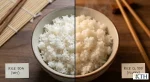 So sánh hạt cơm Gạo CL 555 nở xốp mềm (bên phải) và Gạo 504 nở khô cứng (bên trái) trên bàn ăn.