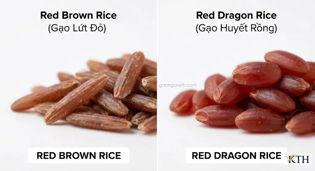 Phân biệt gạo huyết rồng và gạo lứt đỏ cho người tiểu đường tránh nhầm lẫn tai hại.