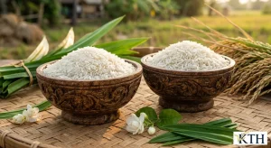 Hình ảnh minh họa hạt gạo thơm Thái Lan Hom Mali và gạo Lài Miên Campuchia — Gạo Ngon KTH