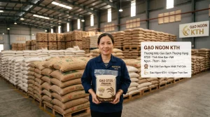 Bảng giá gạo ST25 sỉ và lẻ mới nhất 2025, báo giá gạo ngon nhất thế giới từ đại lý gạo sỉ kho gạo miền Tây uy tín.