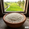 Hình ảnh minh họa đặc tính hạt Gạo 64 Long An nở mềm xốp dịu truyền thống — Gạo Ngon KTH