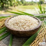 Hình ảnh minh họa đặc tính hạt Gạo Sạch Hữu Cơ canh tác sinh thái an toàn giàu dinh dưỡng — Gạo Ngon KTH