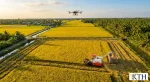 Hình ảnh minh họa toàn cảnh cánh đồng mẫu lớn cơ giới hóa đồng bộ tại ĐBSCL — Gạo Ngon KTH